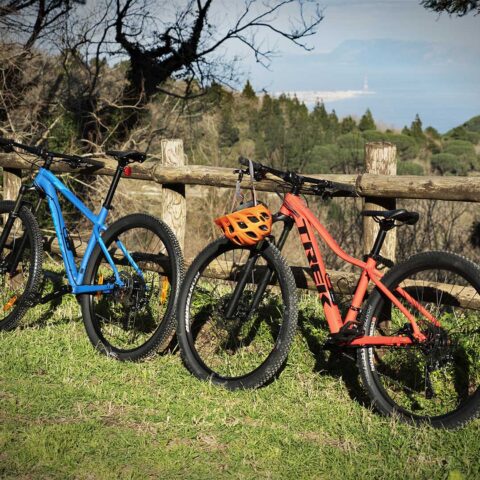 Escursione Mountain Bike Peloritanii 3